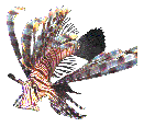More than 25 dive sites